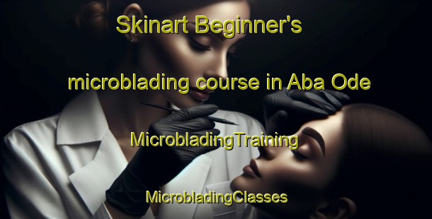 Skinart Beginner's microblading course in Aba Ode | #MicrobladingTraining #MicrobladingClasses #SkinartTraining-Nigeria