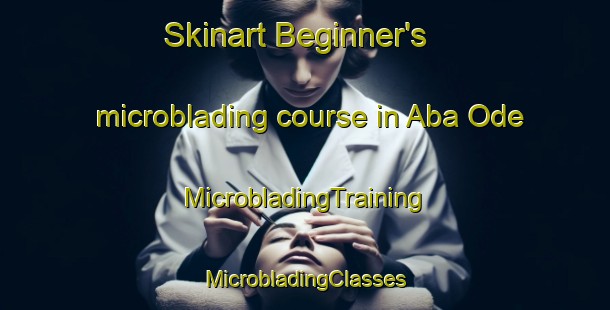 Skinart Beginner's microblading course in Aba Ode | #MicrobladingTraining #MicrobladingClasses #SkinartTraining-Nigeria