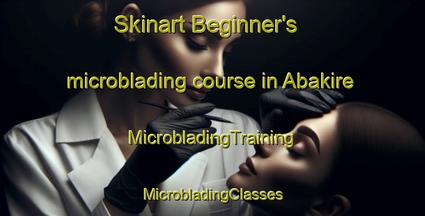 Skinart Beginner's microblading course in Abakire | #MicrobladingTraining #MicrobladingClasses #SkinartTraining-Nigeria