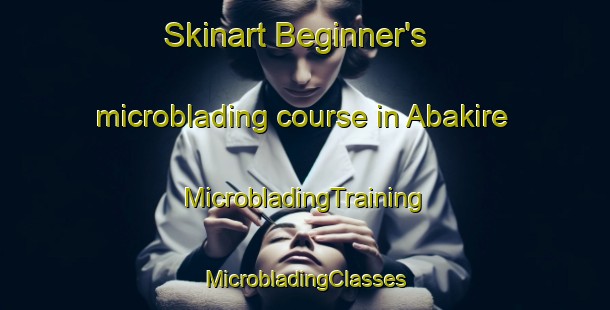 Skinart Beginner's microblading course in Abakire | #MicrobladingTraining #MicrobladingClasses #SkinartTraining-Nigeria