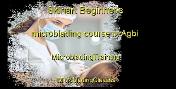 Skinart Beginner's microblading course in Agbi | MicrobladingTraining | MicrobladingClasses | SkinartTraining-Nigeria