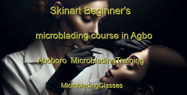 Skinart Beginner's microblading course in Agbo Aboboro | MicrobladingTraining | MicrobladingClasses | SkinartTraining-Nigeria