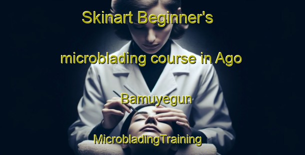 Skinart Beginner's microblading course in Ago Bamuyegun | MicrobladingTraining | MicrobladingClasses | SkinartTraining-Nigeria