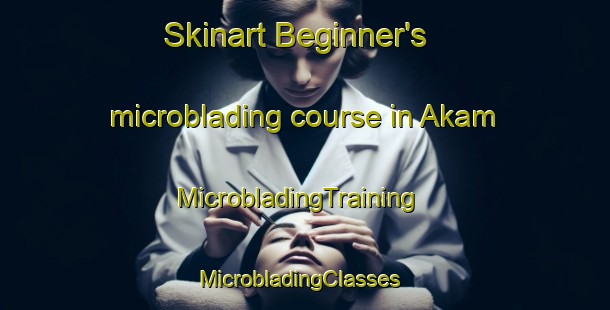 Skinart Beginner's microblading course in Akam | MicrobladingTraining | MicrobladingClasses | SkinartTraining-Nigeria