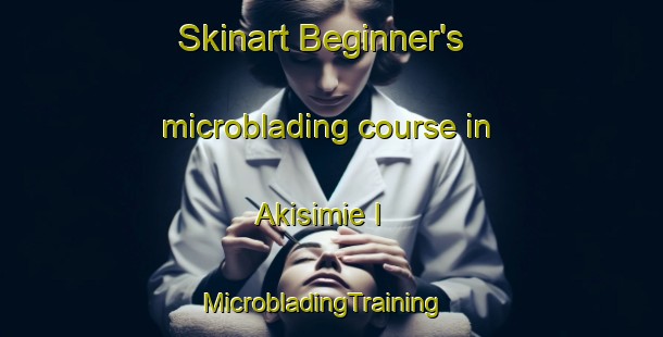 Skinart Beginner's microblading course in Akisimie I | MicrobladingTraining | MicrobladingClasses | SkinartTraining-Nigeria