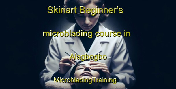 Skinart Beginner's microblading course in Alagbogbo | MicrobladingTraining | MicrobladingClasses | SkinartTraining-Nigeria
