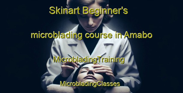 Skinart Beginner's microblading course in Amabo | MicrobladingTraining | MicrobladingClasses | SkinartTraining-Nigeria