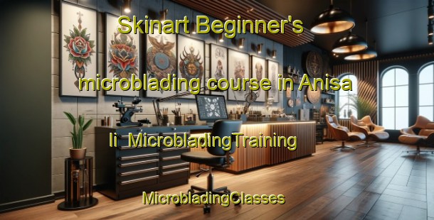Skinart Beginner's microblading course in Anisa Ii | MicrobladingTraining | MicrobladingClasses | SkinartTraining-Nigeria