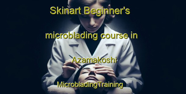 Skinart Beginner's microblading course in Azamakoshi | MicrobladingTraining | MicrobladingClasses | SkinartTraining-Nigeria
