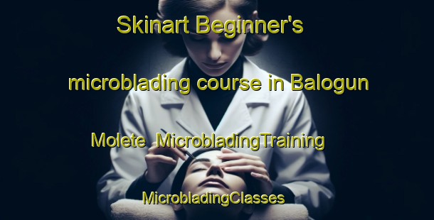 Skinart Beginner's microblading course in Balogun Molete | MicrobladingTraining | MicrobladingClasses | SkinartTraining-Nigeria
