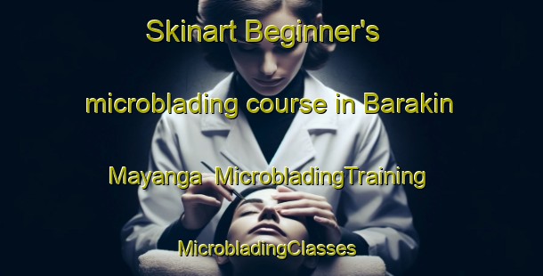 Skinart Beginner's microblading course in Barakin Mayanga | MicrobladingTraining | MicrobladingClasses | SkinartTraining-Nigeria