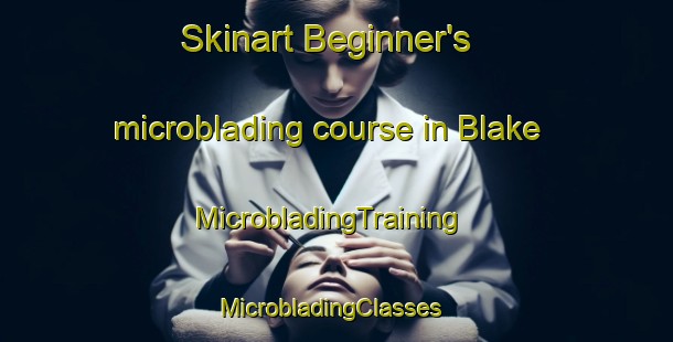 Skinart Beginner's microblading course in Blake | MicrobladingTraining | MicrobladingClasses | SkinartTraining-Nigeria