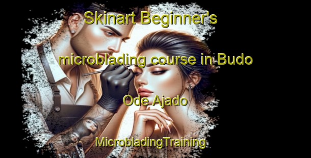 Skinart Beginner's microblading course in Budo Ode Ajado | MicrobladingTraining | MicrobladingClasses | SkinartTraining-Nigeria