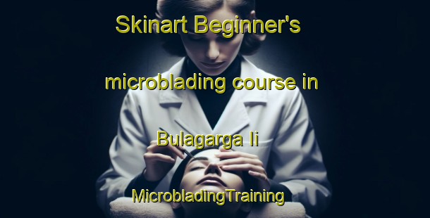 Skinart Beginner's microblading course in Bulagarga Ii | MicrobladingTraining | MicrobladingClasses | SkinartTraining-Nigeria