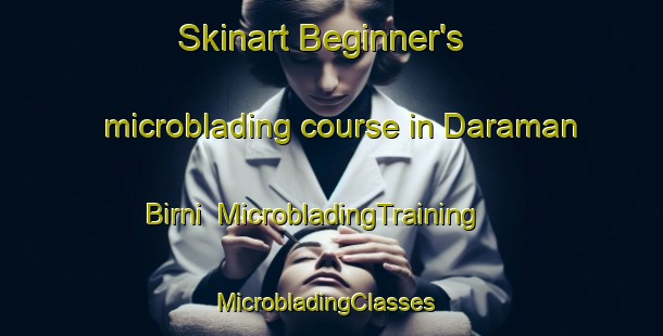 Skinart Beginner's microblading course in Daraman Birni | MicrobladingTraining | MicrobladingClasses | SkinartTraining-Nigeria