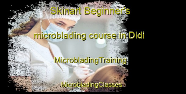 Skinart Beginner's microblading course in Didi | MicrobladingTraining | MicrobladingClasses | SkinartTraining-Nigeria