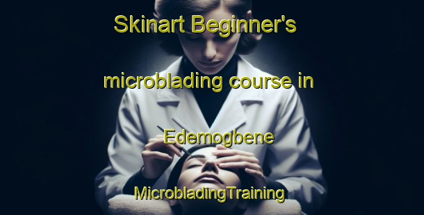 Skinart Beginner's microblading course in Edemogbene | #MicrobladingTraining #MicrobladingClasses #SkinartTraining-Nigeria