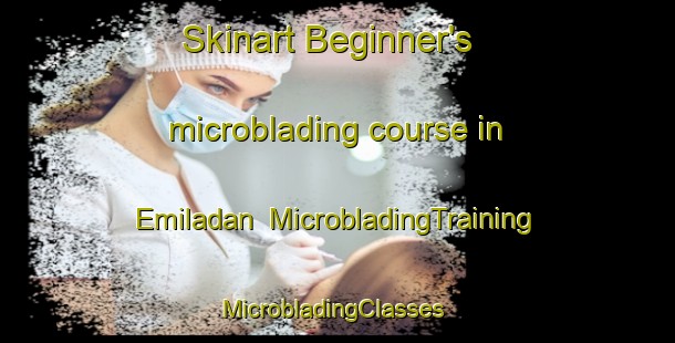 Skinart Beginner's microblading course in Emiladan | MicrobladingTraining | MicrobladingClasses | SkinartTraining-Nigeria