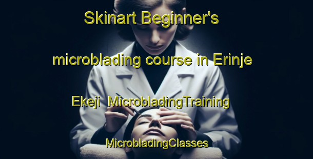 Skinart Beginner's microblading course in Erinje Ekeji | #MicrobladingTraining #MicrobladingClasses #SkinartTraining-Nigeria