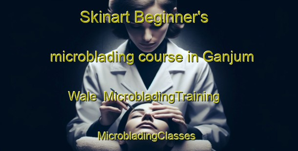 Skinart Beginner's microblading course in Ganjum Wale | MicrobladingTraining | MicrobladingClasses | SkinartTraining-Nigeria