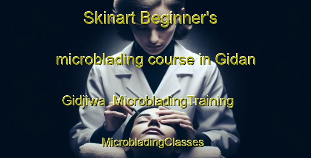 Skinart Beginner's microblading course in Gidan Gidjiwa | MicrobladingTraining | MicrobladingClasses | SkinartTraining-Nigeria