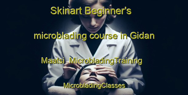 Skinart Beginner's microblading course in Gidan Maatsi | #MicrobladingTraining #MicrobladingClasses #SkinartTraining-Nigeria