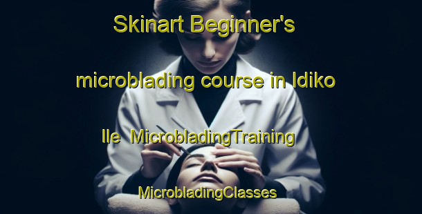 Skinart Beginner's microblading course in Idiko Ile | MicrobladingTraining | MicrobladingClasses | SkinartTraining-Nigeria