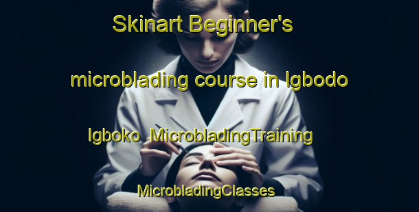 Skinart Beginner's microblading course in Igbodo Igboko | MicrobladingTraining | MicrobladingClasses | SkinartTraining-Nigeria