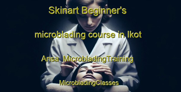 Skinart Beginner's microblading course in Ikot Ansa | MicrobladingTraining | MicrobladingClasses | SkinartTraining-Nigeria