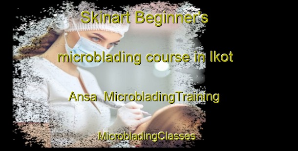 Skinart Beginner's microblading course in Ikot Ansa | MicrobladingTraining | MicrobladingClasses | SkinartTraining-Nigeria