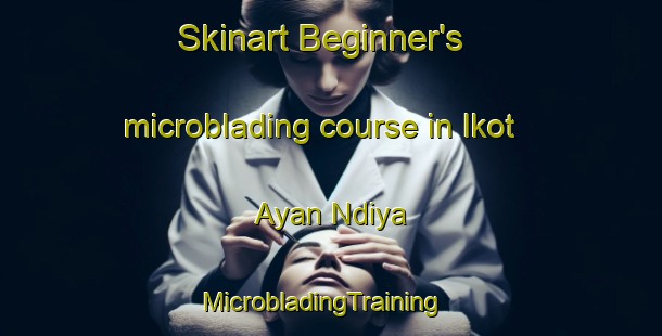 Skinart Beginner's microblading course in Ikot Ayan Ndiya | MicrobladingTraining | MicrobladingClasses | SkinartTraining-Nigeria