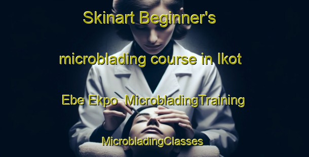 Skinart Beginner's microblading course in Ikot Ebe Ekpo | MicrobladingTraining | MicrobladingClasses | SkinartTraining-Nigeria