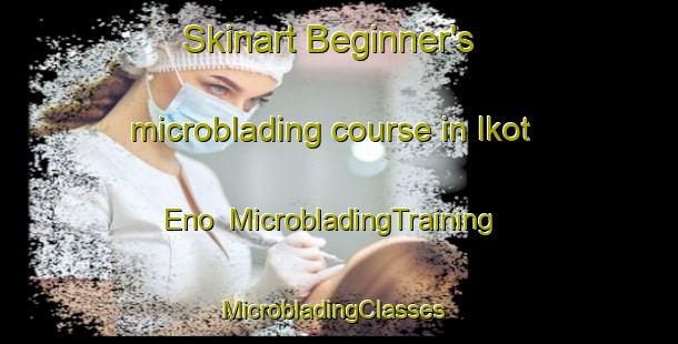 Skinart Beginner's microblading course in Ikot Eno | MicrobladingTraining | MicrobladingClasses | SkinartTraining-Nigeria