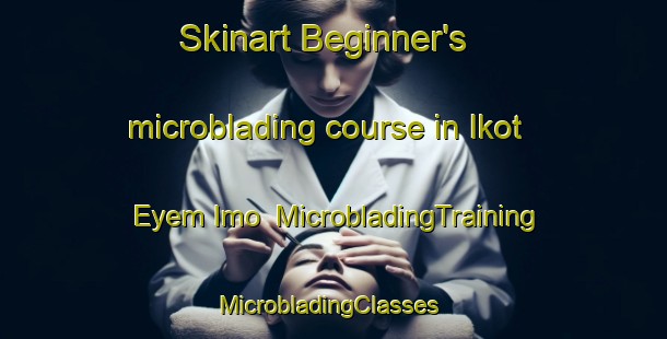 Skinart Beginner's microblading course in Ikot Eyem Imo | MicrobladingTraining | MicrobladingClasses | SkinartTraining-Nigeria