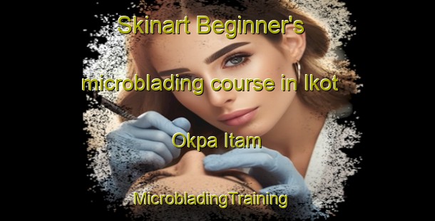 Skinart Beginner's microblading course in Ikot Okpa Itam | MicrobladingTraining | MicrobladingClasses | SkinartTraining-Nigeria