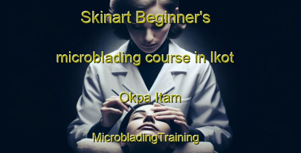 Skinart Beginner's microblading course in Ikot Okpa Itam | MicrobladingTraining | MicrobladingClasses | SkinartTraining-Nigeria
