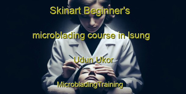 Skinart Beginner's microblading course in Isung Udun Ukor | MicrobladingTraining | MicrobladingClasses | SkinartTraining-Nigeria