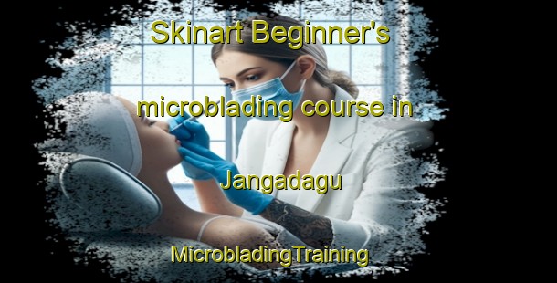 Skinart Beginner's microblading course in Jangadagu | MicrobladingTraining | MicrobladingClasses | SkinartTraining-Nigeria