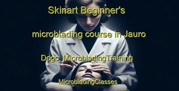 Skinart Beginner's microblading course in Jauro Dogo | MicrobladingTraining | MicrobladingClasses | SkinartTraining-Nigeria