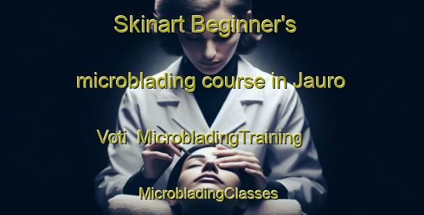 Skinart Beginner's microblading course in Jauro Voti | MicrobladingTraining | MicrobladingClasses | SkinartTraining-Nigeria
