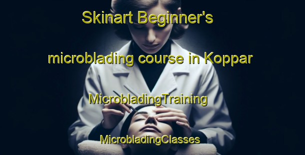 Skinart Beginner's microblading course in Koppar | MicrobladingTraining | MicrobladingClasses | SkinartTraining-Nigeria