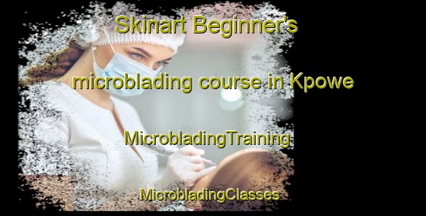 Skinart Beginner's microblading course in Kpowe | MicrobladingTraining | MicrobladingClasses | SkinartTraining-Nigeria