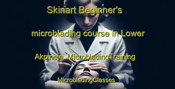 Skinart Beginner's microblading course in Lower Akpineje | MicrobladingTraining | MicrobladingClasses | SkinartTraining-Nigeria