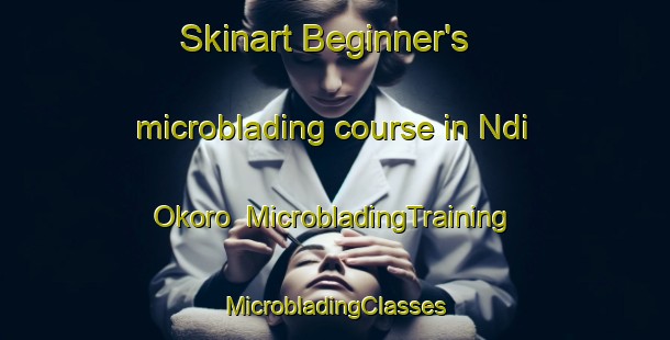 Skinart Beginner's microblading course in Ndi Okoro | #MicrobladingTraining #MicrobladingClasses #SkinartTraining-Nigeria