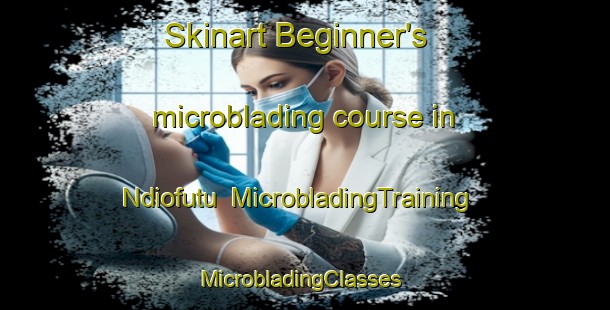 Skinart Beginner's microblading course in Ndiofutu | MicrobladingTraining | MicrobladingClasses | SkinartTraining-Nigeria