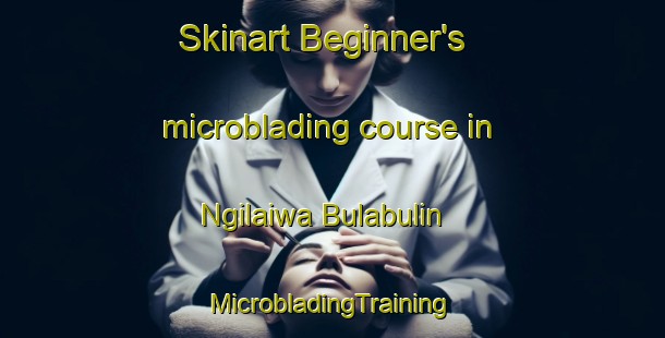 Skinart Beginner's microblading course in Ngilaiwa Bulabulin | #MicrobladingTraining #MicrobladingClasses #SkinartTraining-Nigeria