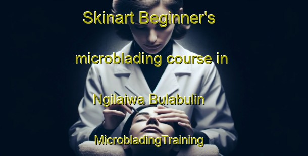 Skinart Beginner's microblading course in Ngilaiwa Bulabulin | MicrobladingTraining | MicrobladingClasses | SkinartTraining-Nigeria