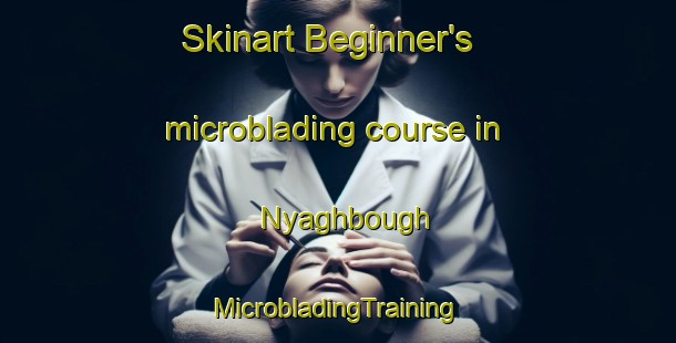 Skinart Beginner's microblading course in Nyaghbough | #MicrobladingTraining #MicrobladingClasses #SkinartTraining-Nigeria