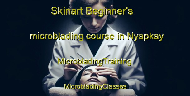 Skinart Beginner's microblading course in Nyapkay | #MicrobladingTraining #MicrobladingClasses #SkinartTraining-Nigeria