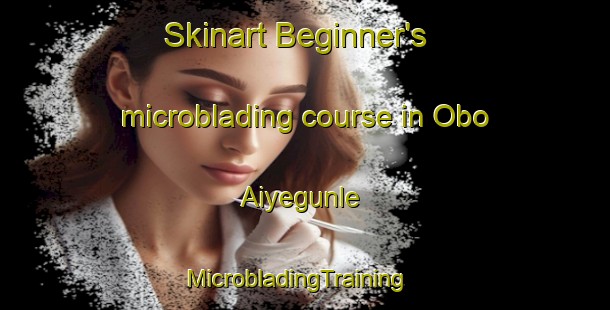 Skinart Beginner's microblading course in Obo Aiyegunle | MicrobladingTraining | MicrobladingClasses | SkinartTraining-Nigeria